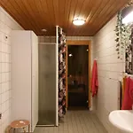 Saunallinen Kolmio Jaetkaesaaressa